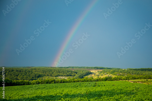 Beautiful summer landscape. Rainbow in the sky. A bright sunny day. © drotik