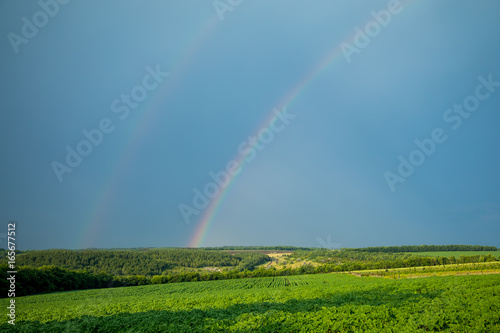 Beautiful summer landscape. Rainbow in the sky. A bright sunny day.