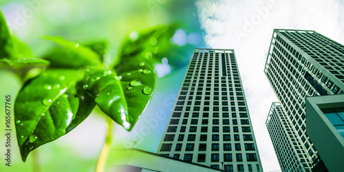 Modern skyscraper on a background of green plants . The concept of environmental clean construction .