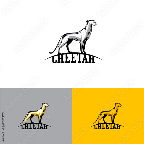 Logo cheetah. Vector illustration EPS10