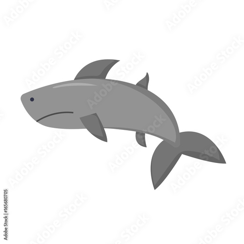 Vector cartoon isolated shark