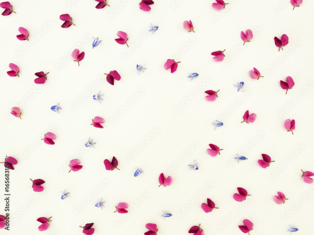 Flowers composition. Frame made of bluebell and lupine flowers on white background. Easter, spring, summer, minimal concept. Flat lay, top view