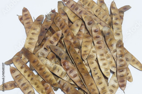 Brown Pods of Leucaena leucocephala tree. Seed. Propagate species.
 photo