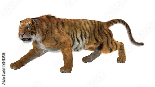 Fototapeta Naklejka Na Ścianę i Meble -  3D Rendering Big Cat Tiger on White