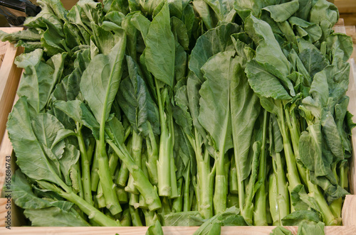 Chinese Kale. Green vegetable leaves, healthy eating, vegetarian food.