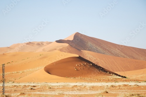 Namib Naukluft National Park, Namibia photo