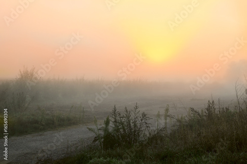 on the road in the foggy dawn