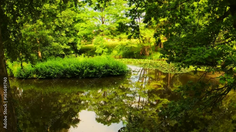 Lily pads pond river nature lake scenic landscape nature Lily pads pond river nature lake scenic landscape nature