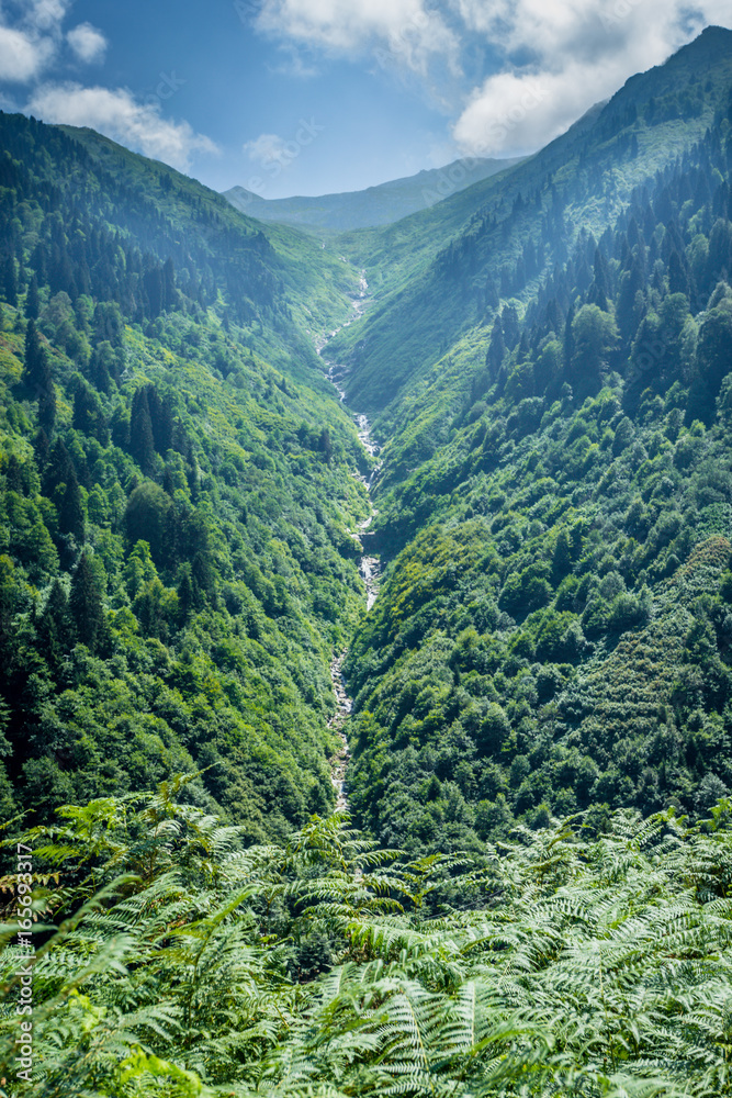 Obraz premium Płaskowyż Ayder, Rize, Turcja. Dolina Ayder leży między Rize i Artvin. Popularnym miejscem turystyki letniej.
