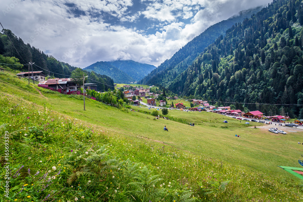 Ayder Plateau, Rize, Turkey.The Ayder Valley lies between Rize and Artvin.A popular destination for summer tourism.