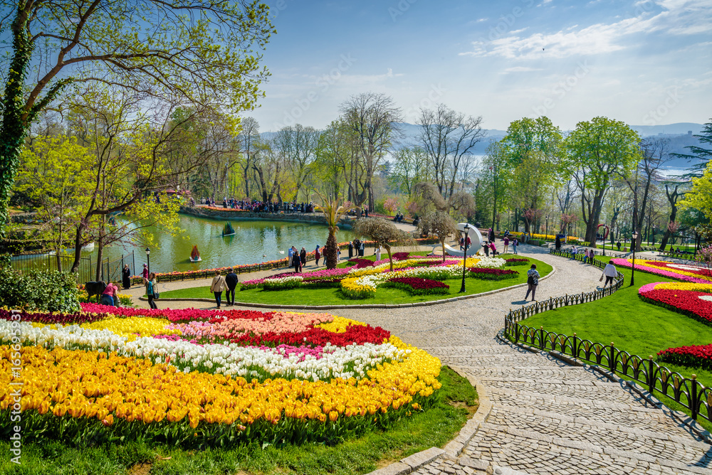 Fototapeta premium Traditional Tulip Festival in Emirgan Park, a historical urban park located in the Sariyer district of Istanbul, Turkey. Tourists visit and spend the weekend.ISTANBUL/TURKEY- APRIL 15,2017