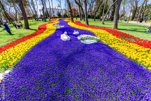 Traditional Tulip Festival in Emirgan Park, a historical urban park located in the Sariyer district of Istanbul, Turkey. Tourists visit and spend the weekend.ISTANBUL/TURKEY- APRIL 15,2017 © epic_images