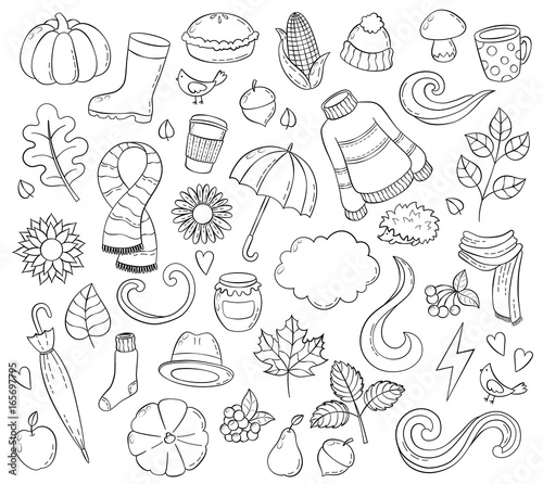 Set autumn hand drawn doodle illustrations. Background, template, backdrop, wallpaper, Icon collection, Freehand sketch for adult anti stress coloring book page