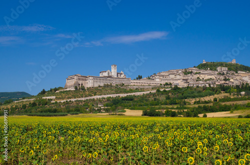 Assisi, Umbria (Italy) - The awesome medieval stone town in Umbria region, with castle and the famous Saint Francis sanctuary.