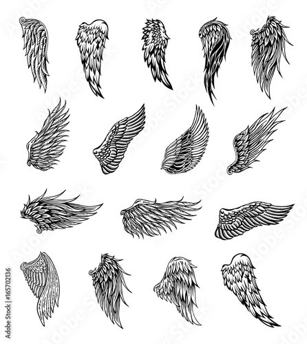 Wings graphic illustration photo