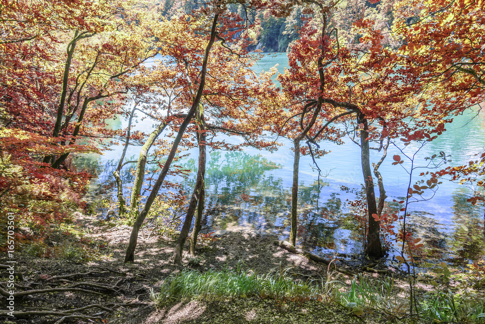 Fototapeta premium National Park Plitvice Lakes. Croatia.