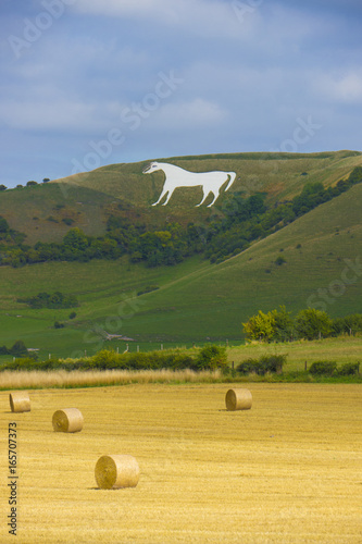 Cuadro en lienzo Westbury White Horse.Wiltshire,England