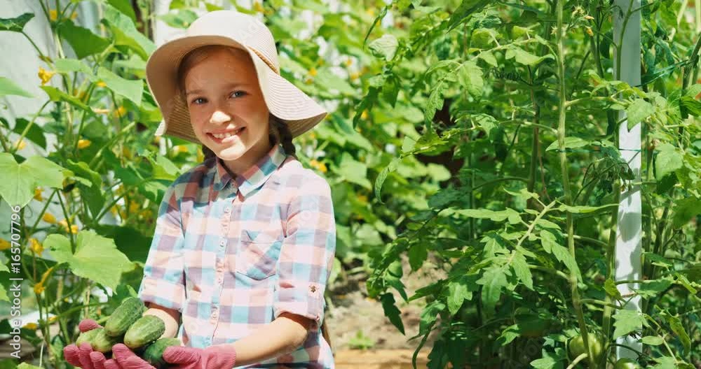 Laughing girl 8 aged holding cucumbers in palms. Portrait little farmer with a crop of vegetables in the kitchen garden at sunny day Laughing girl 8 aged holding cucumbers in palms. Portrait little farmer with a crop of vegetables in the kitchen garden at sunny day