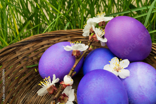 Lilac easter eggs in a basket in the grass photo