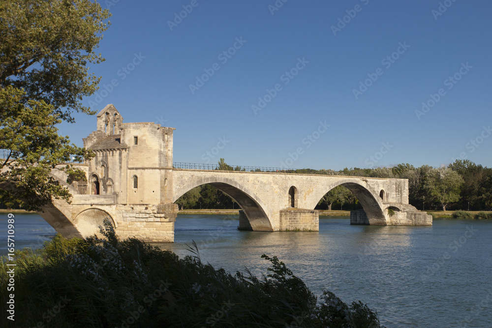Avignon, the Popes' Palace