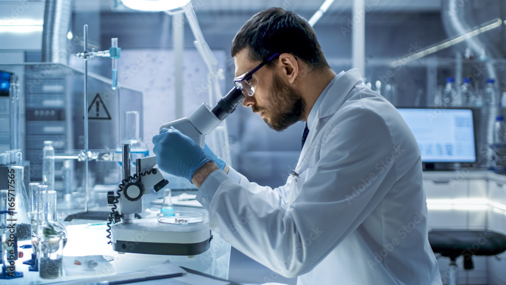 In a Modern Laboratory Chief Research Scientist Examining Substance in a Petri Dish Under Microscope. In a Modern Laboratory Chief Research Scientist Examining Substance in a Petri Dish Under Microscope.