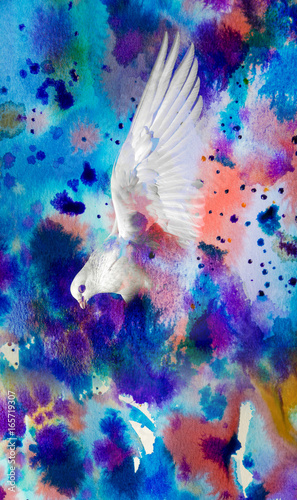 photo of a white pigeon on a watercolor background