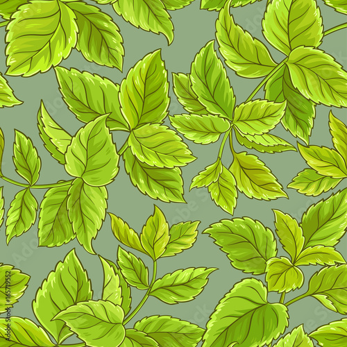 melissa vector pattern
