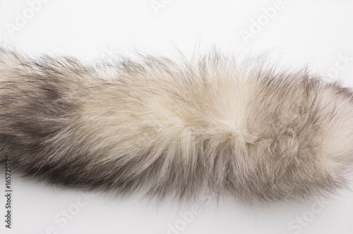 The fur of a Arctic, polar fox Fox. Texture. Stock photo Top view. Close-up