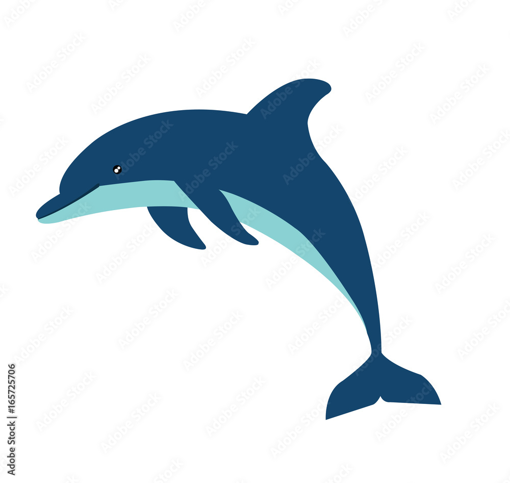 Obraz premium postać z kreskówki delfinów na białym tle na białym tle, ilustracji wektorowych