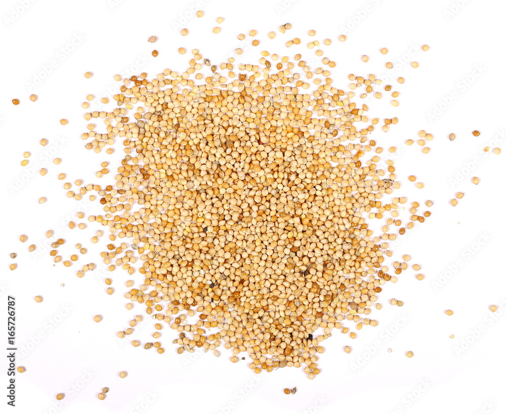 pile millet isolated on white background, top view pile millet isolated on white background, top view