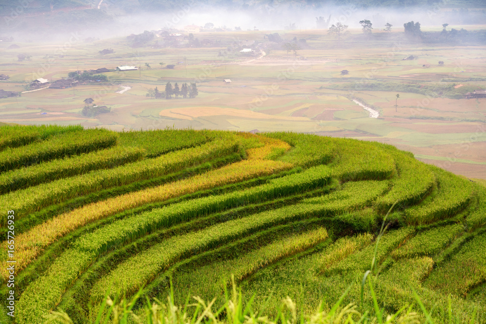Vietnam Rice terrace in Tu Le Yen Bai