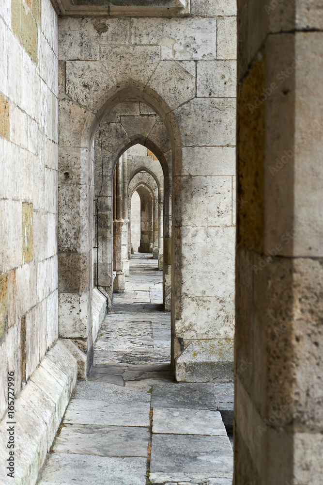 Fototapeta premium Gothic supporting arch at the ratisbona dome, Germany.