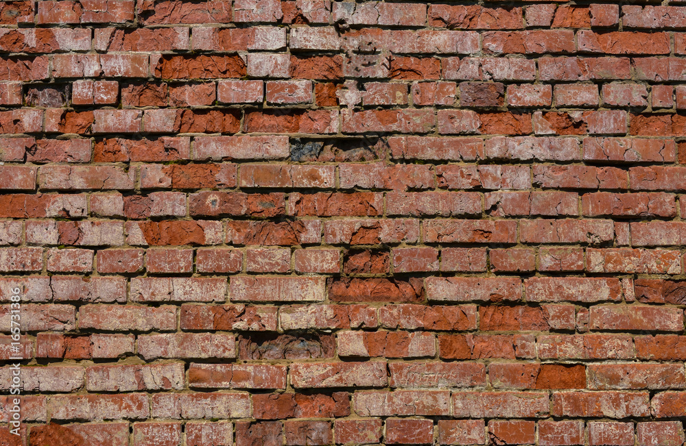 Fototapeta premium Brick wall