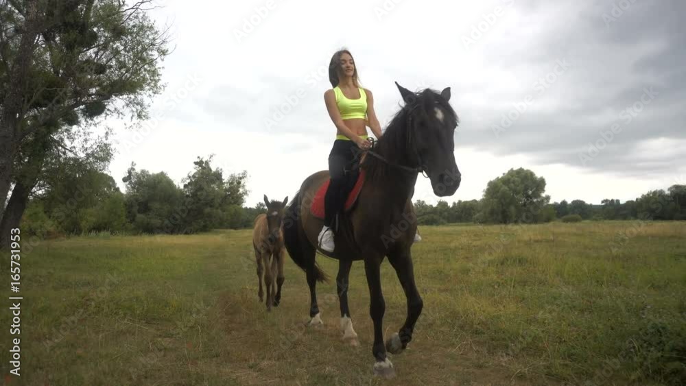 young girl riding astride beautiful Brown horse young girl riding astride beautiful Brown horse