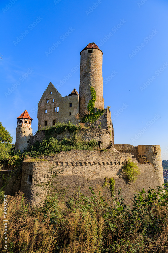 Schlösser und Burgen am Neckar Weinanbau Schlösser und Burgen am Neckar Weinanbau
