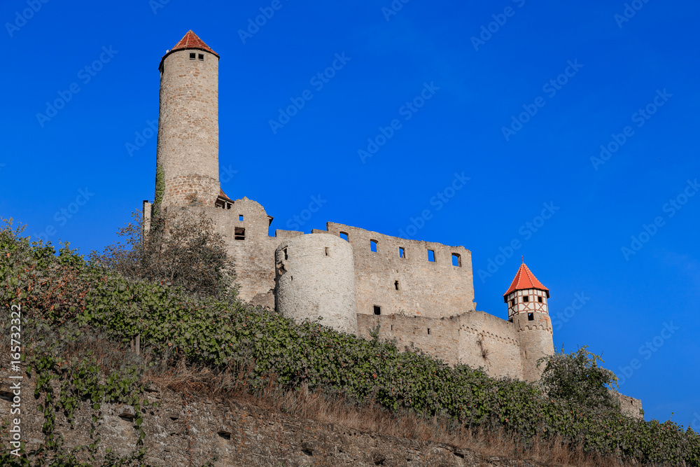 Schlösser und Burgen am Neckar Weinanbau Schlösser und Burgen am Neckar Weinanbau
