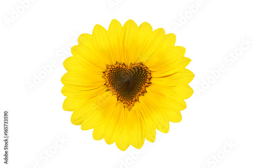 Fototapeta Naklejka Na Ścianę i Meble -  Wunderschöne Sonnenblume mit Form eines Herzens