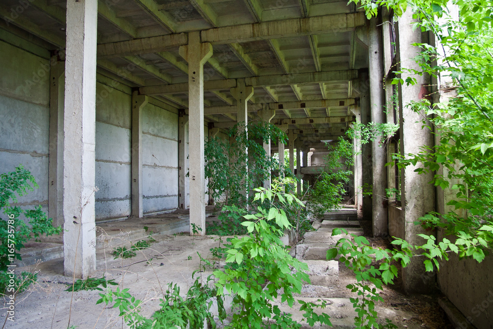Fototapeta premium Abandoned overgrown industrial ruins