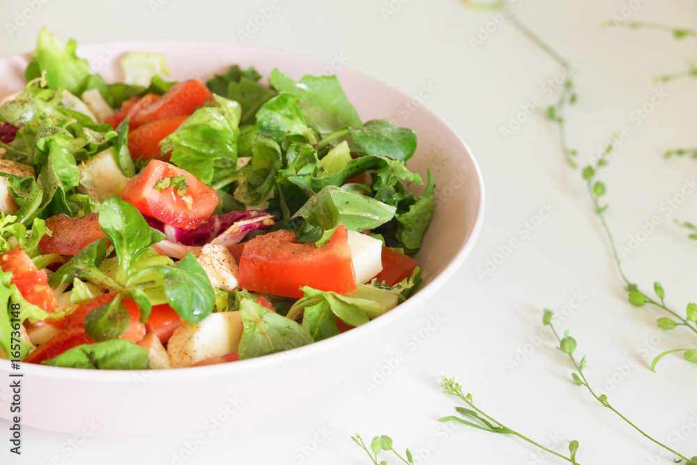 Vegetable salat with toppings such as mozzarella cheese, tomato, olive oil and spices Vegetable salat with toppings such as mozzarella cheese, tomato, olive oil and spices