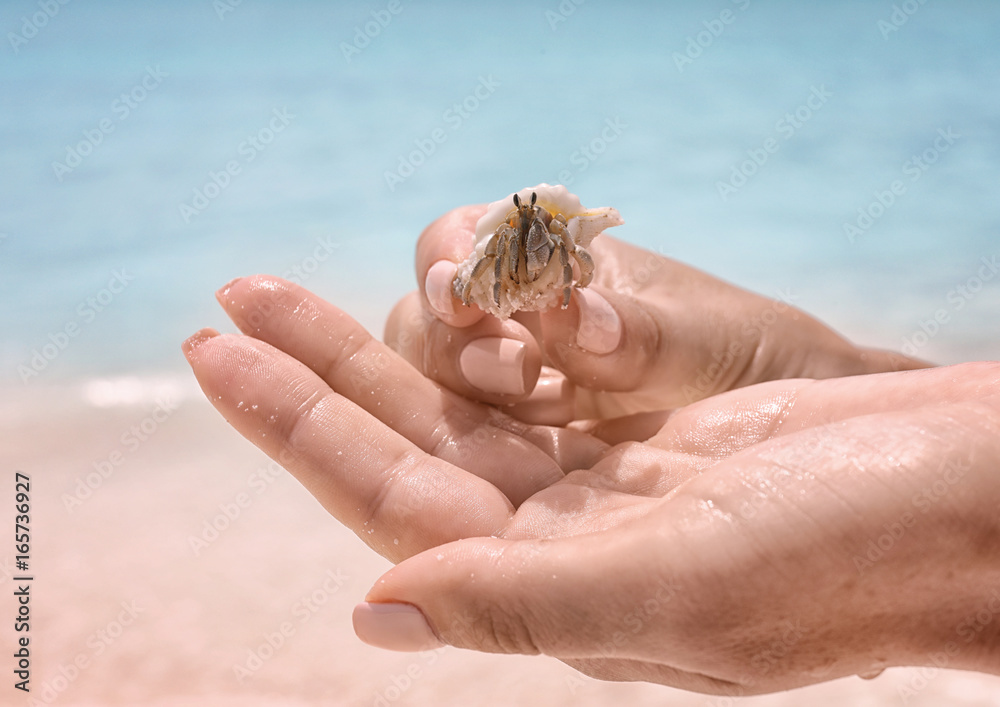 Hands of young woman holding hermit crab at sea resort, closeup. Summer vacation concept