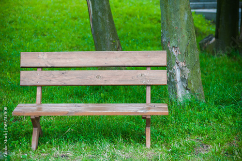 Cozy wooden bench on a green lawn