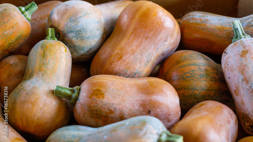 Fresh Honeynut Butternut Squash