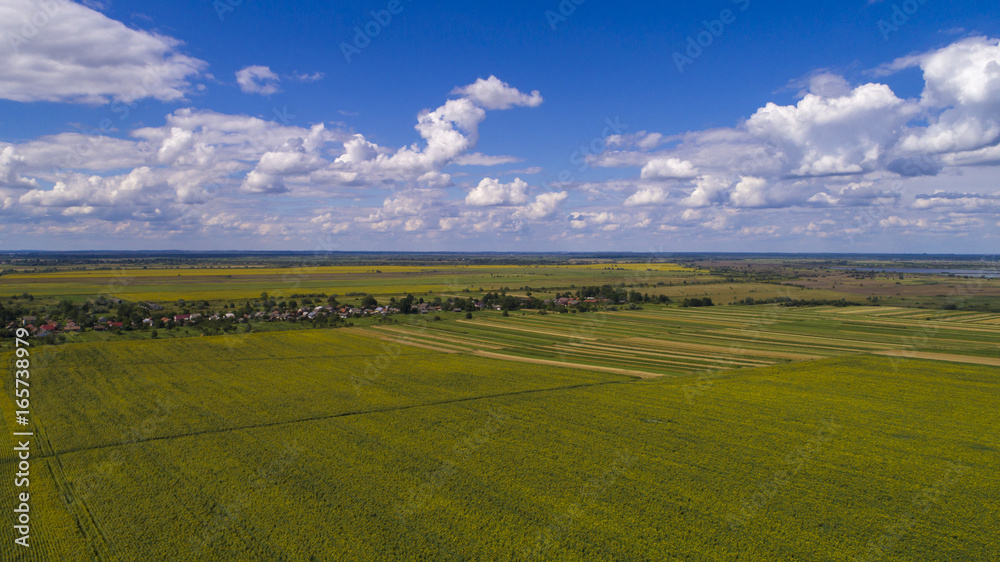 aerial view agriculture field summer day. Summer day landscape. aerial view agriculture field summer day. Summer day landscape.