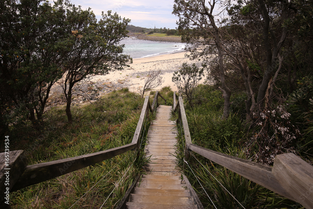 forster tun curry beach sunset