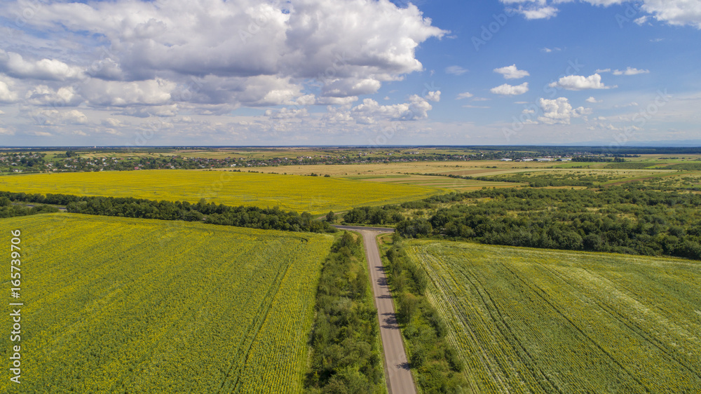 aerial view agriculture field summer day. Summer day landscape. aerial view agriculture field summer day. Summer day landscape.
