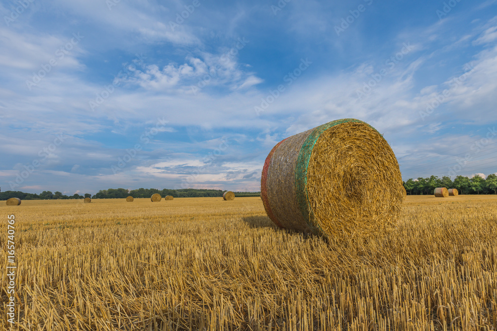 Hay Bale On Agriculture Field With Blue Sky / Rural Nature In The Farm Land / Straw On The Meadow. Wheat Yellow Golden Harvest At Summer / NRW Krefeld