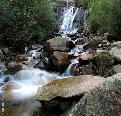 Steavenson Falls photo