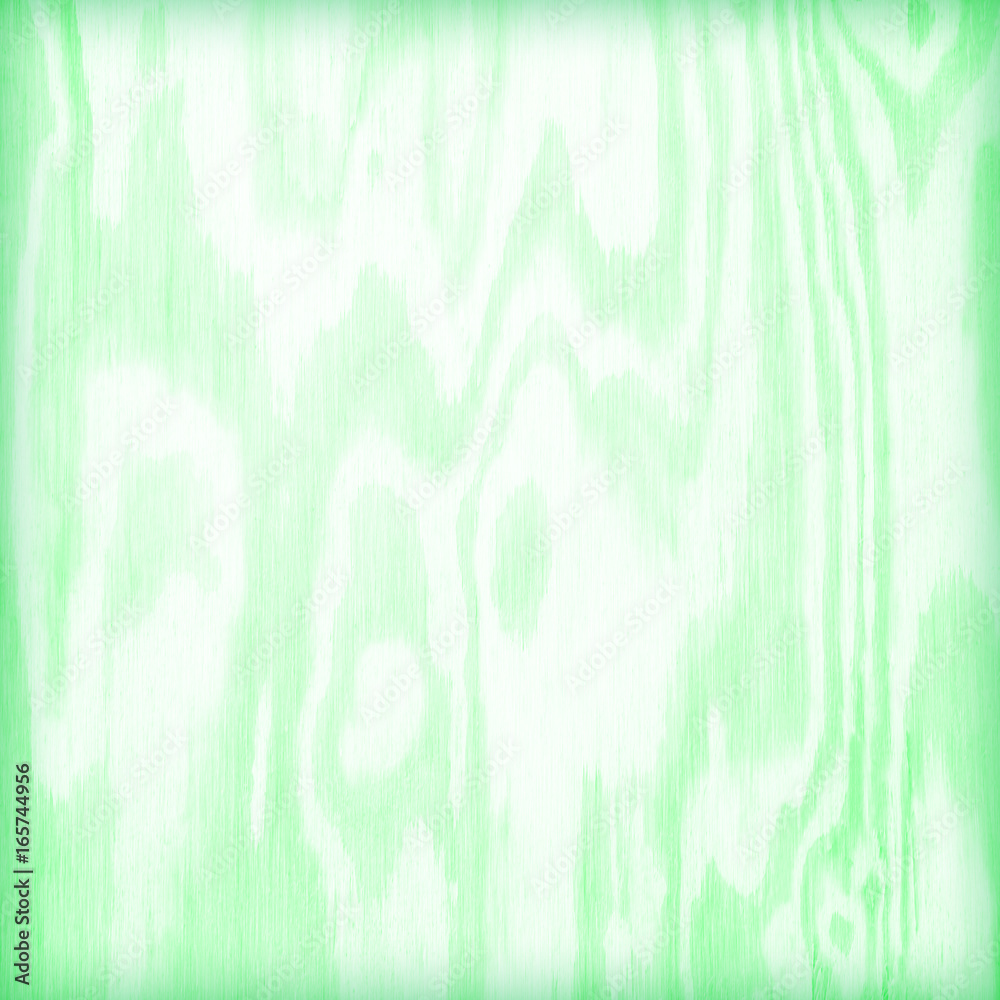 Fototapeta premium soft green wood plank texture for background.