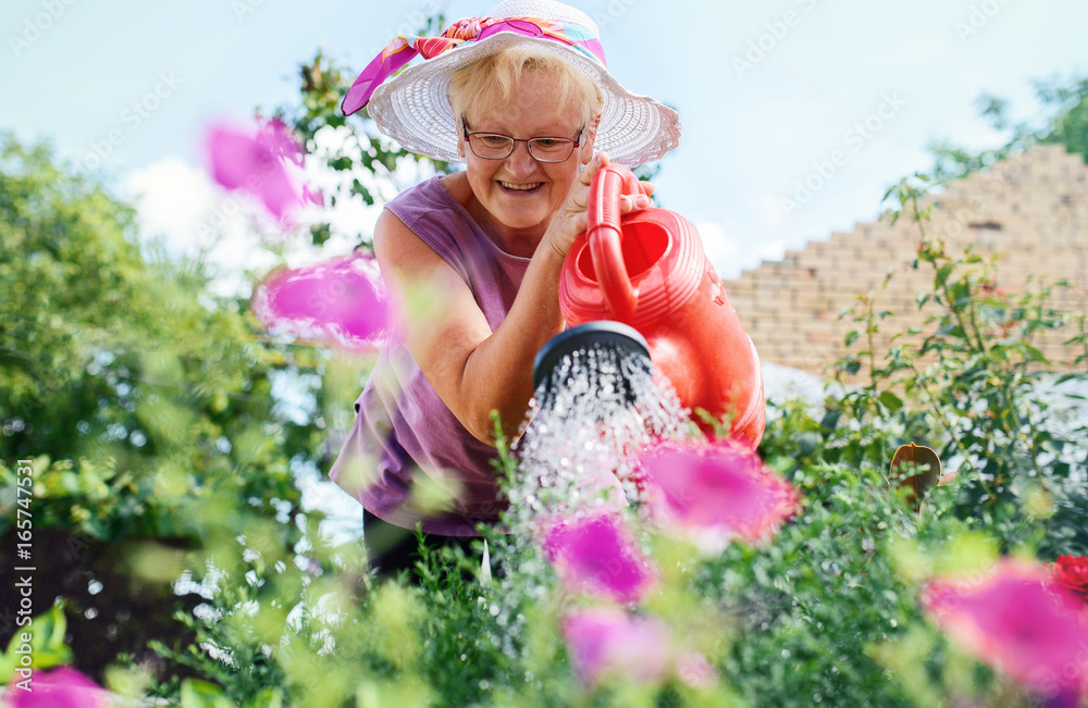 Senior woman working in her garden with a plants. Hobbies and leisure Senior woman working in her garden with a plants. Hobbies and leisure