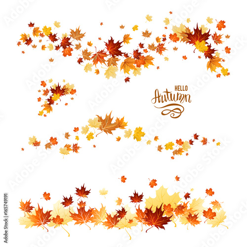Fall leaves set